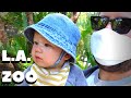 L.A. Zoo Vlog (During COVID)