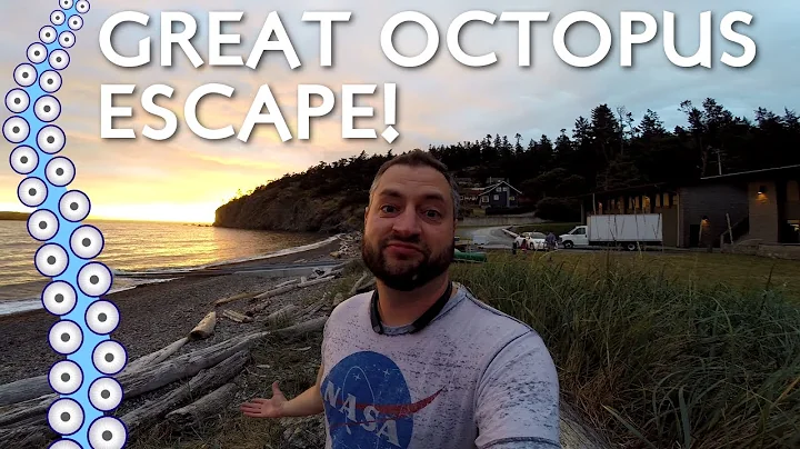 Episode 3-1: Great Octopus Escape!