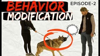 Behavior Modification with a fearful Aggressive German Shepherd Part 2