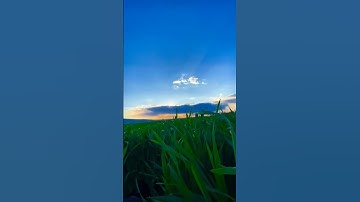 #اكسبلور اللهم اجعل القرآن الكريم ربيع قلوبنا ونور صدورنا 🤲🤲❤