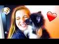SURPRISING MY GIRLFRIEND WITH A PUPPY! *SHE CRIED*
