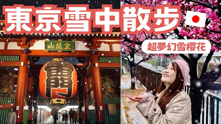 2024東京大雪散步｜雪櫻花太夢幻了🌸 日夜東京車站、雪雷門🏮｜日本有個U1 YuiTube 🇹🇼x🇯🇵 - 天天要聞