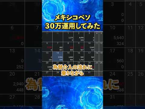 【メキシコペソ】30万円を半年間運用してみた結果はいかに・・・