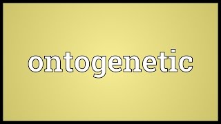 Ontogenetic Meaning