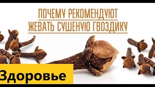 Ваше здоровье . Какая польза от сушеной гвоздики?