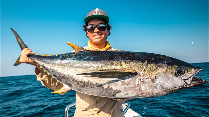 CAPTURA Y COCINA EN ALTAMAR! | Delicioso Sashimi de Atún