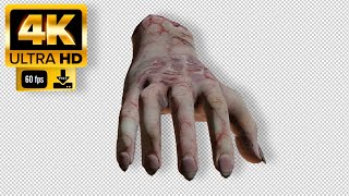 Hand from the Wednesday Green Screen  - Footage 4K