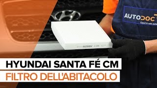 Sostituzione Filtro aria condizionata carbone attivo e biofunzionale HYUNDAI: manuale tecnico d'officina