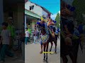 cute little sister riding a dancing horse