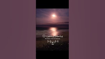 #ارح سمعك #القرآن الكريم #راحه نفسيه #تلاوه هادئه#مفتاح السعادة