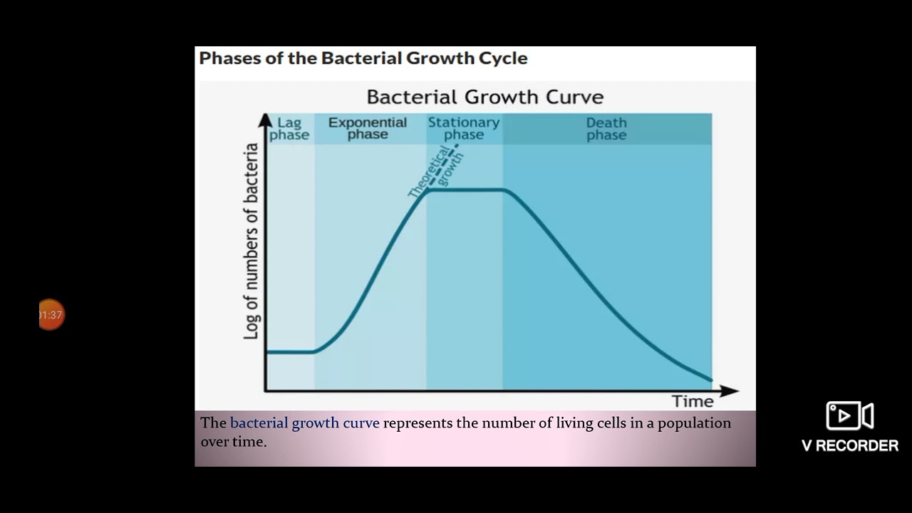 GATE-2021 XE/XL Food Technology 1