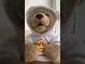 HardRock Teddy - motivation Do it