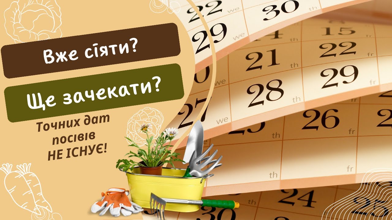 Коли сіяти насіння на розсаду🍆🌶️🥒🥦🌱