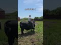 17 Iyul 2025 17 Iyul 2025