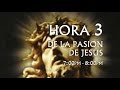 03 de 24 I Horas de la Pasión de Jesús, Luisa Piccarreta, Divina Voluntad.