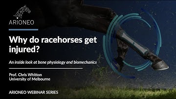 WEBINAR - Why do racehorses get injured? An inside look at bone physiology and biomechanics 📈