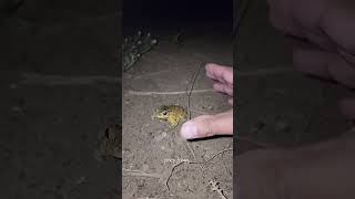 Httpsyoutubecomshortsmmxrsgddztasickcrwv5ngefbsuzq