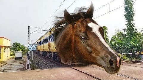 Angry HORSE Headed MEMU Train : MEMU Train Dangerous & Furious Moving Out Railgate