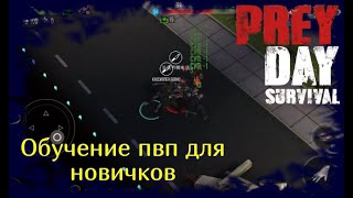 Обучение пвп для новичка / Прей Дей / Prey Day