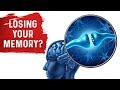 Memory Loss and the Hippocampus: MUST WATCH!