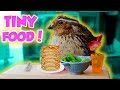 MAKING TINY FOOD FOR MY QUAILS! So Cute! | NICOLE SKYES