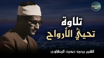 كلام الله.. تلاوة تحيي الأرواح وتنعش النفس || الشيخ محمد صديق المنشاوي
