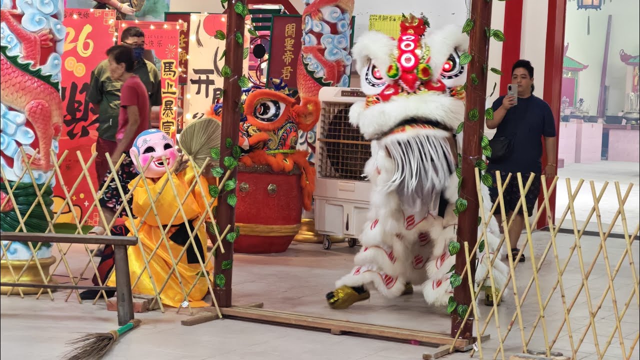 2026 农历新年文冬六王宫大头佛及传统南狮表演LokYam Kong Traditional Big Head Buddha & Lion DancePerformance