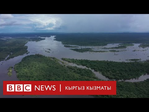 Video: Планетанын сырлары: Шабдалы көлү Асфальт