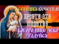 УСПЕЙ ПРОЧЕСТЬ ДО КОНЦА ДНЯ ЭТУ МОЛИТВУ ПРЕСВЯТОЙ БОГОРОДИЦЕ! Песнопение Богородице Дево, радуйся