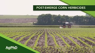 PostEmerge Weed Control In Corn (From Ag PhD #1152  Air Date 5320)