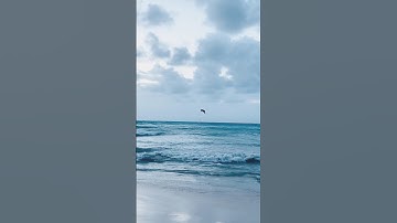 unconditional love doesn