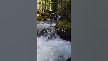 #القارئ فارس عباد #اكسبلور #المصحف #duet #تيك_توك #لايك #راحة_نفسية #حالات_واتس #دويتو #اذكرالله