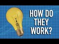 Understanding the Evolution and Functionality of Light Bulbs