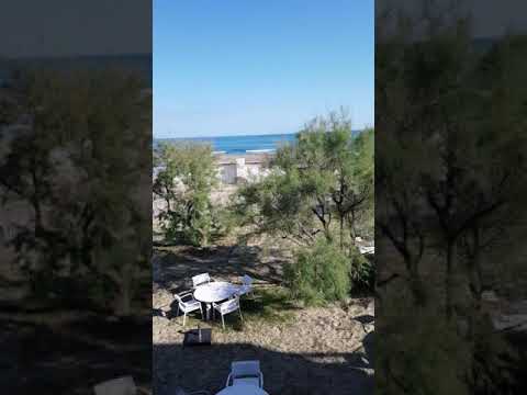 Plage Palace Updated 2019 Prices Hotel Reviews Palavas