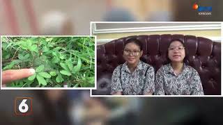 Keren!!Siswi Sma Negeri 4 Kendari Raih Medali Emas Ajang Penemu Dunia Di Malaysia||SCTV KENDARI