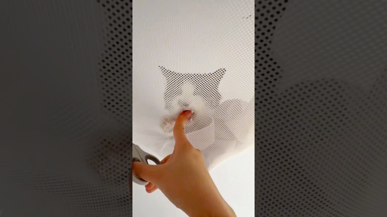 Cats don't like to cut their nails