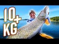 Dream fishing our best pike fishing from boat with 10 pike