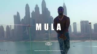 (SOLD)   Dopebwoy x Frenna x Bryan mg Afrobeat Type Beat - "MULA" Prod by Polanskyy & @rifisoul