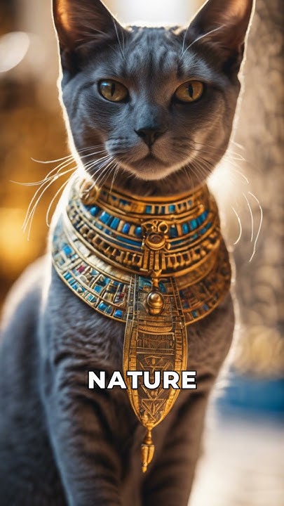 why-cats-were-worshiped-in-ancient-egypt-youtube