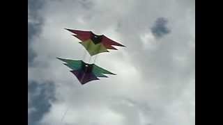 3-D 49 in. Triple Star Box Kite By Xkites