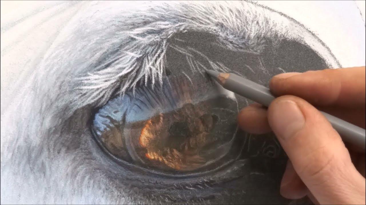 How to paint a horse eye YouTube