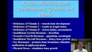 holes anatomy physiology chapter 7 part 2 Wealth