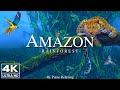 Amazon 4k  relaxing music with beautiful natural landscape  amazing nature