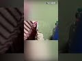 Беженцы из Бахмута живут в подвалах Константиновки #shorts