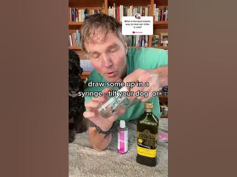 Ear mites: 3 natural oils that work! - YouTube