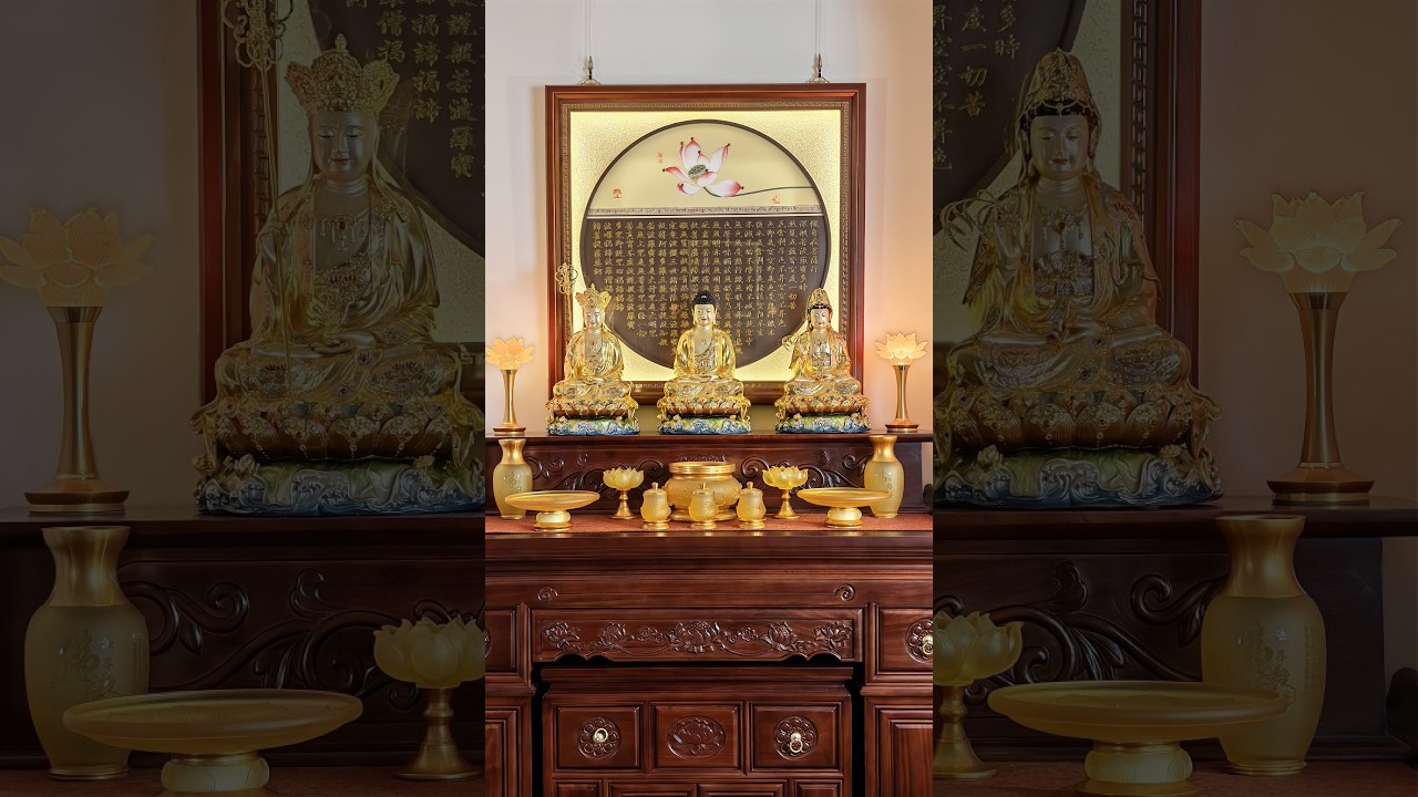 Trong đời này điều gì là quan trọng nhất với bạn? #phapduyenshop #loidaycuaphat #adidaphat
