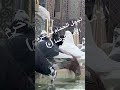 شاهد أجمل الحمام في حرم الامام الرضا الرضا ع في مشهد المقدسة تصويري امام رضا