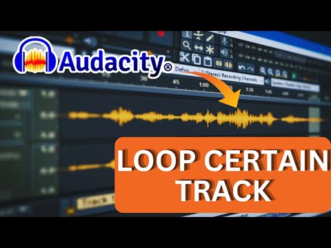 How to Loop Certain Track in Audacity 2025?