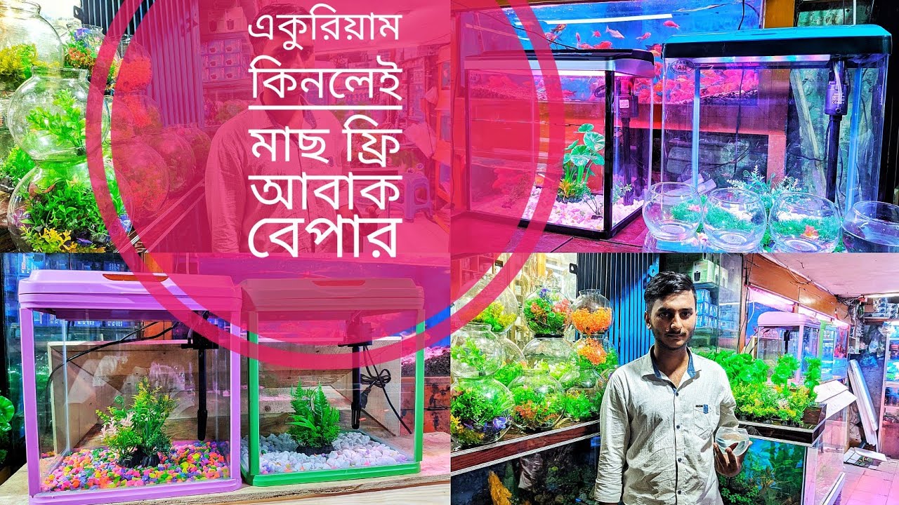 aquarium and fish price in katabon market 2021।। মাছ ও একুরিয়াম কিনুন