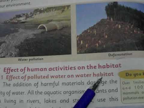 science tab book science tab book